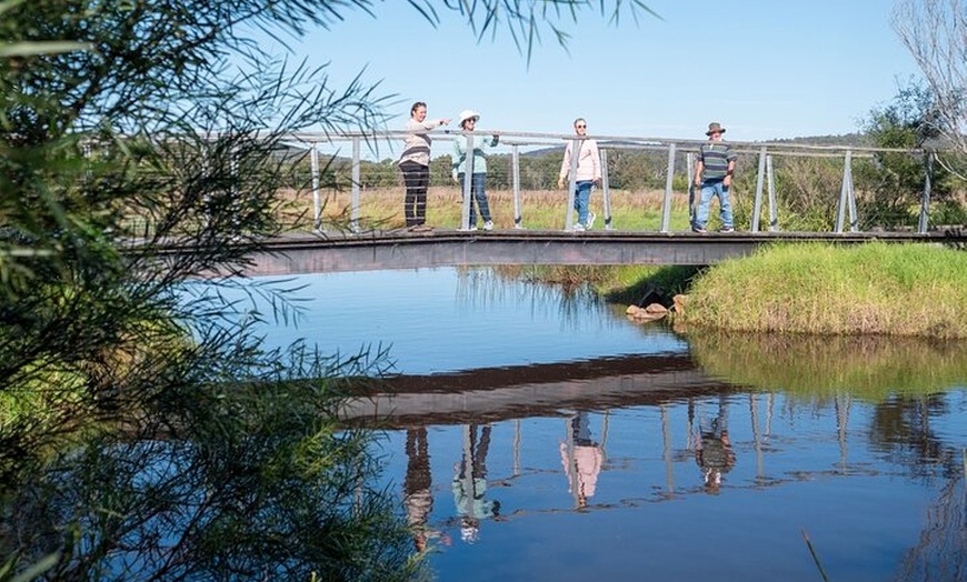 Image 7: Tour from Eden to Merimbula Wetlands Wildlife and Coastline