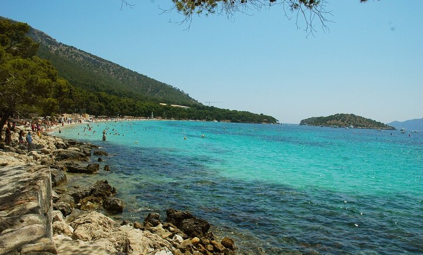 Image 4: 8 - Hora Formentor y Mercado de Sineu con paseo en barco Tour en Ma...