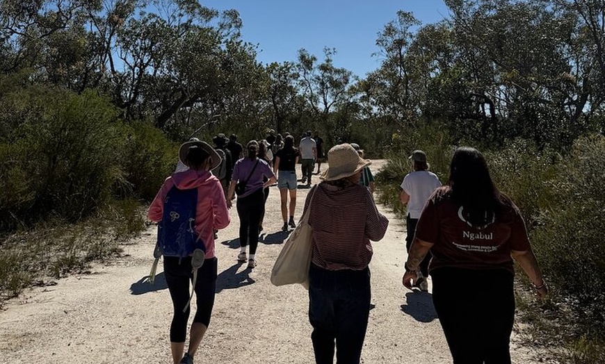 Image 6: Sydney Aboriginal Walking Tour with Welcome Smoking Ceremony