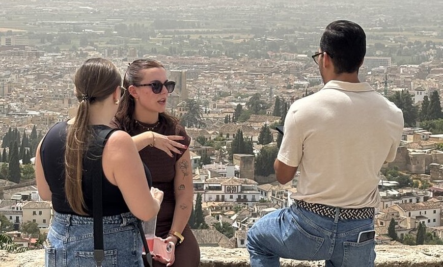 Image 9: Granada Panoramic Tour