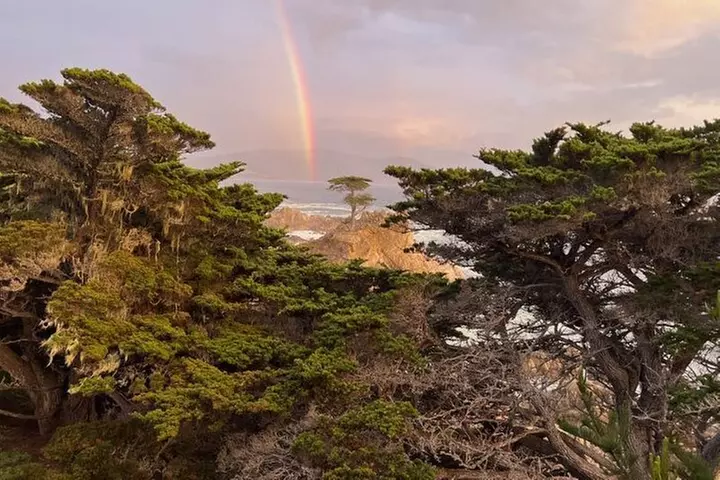 Full Day, Monterey Peninsula, 17 Mile Dr and Carmel eBike Rental