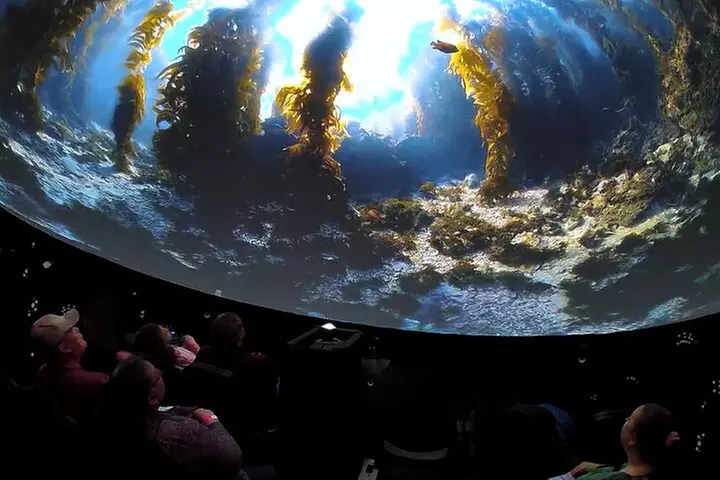 A 360° Immersive Ocean Movie Experience (Catalina Island)