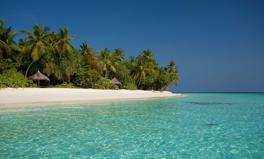 Image 4: ✈ MALDIVES | Dhunikolhu - Coco Palm Dhuni Kolhu 5* - Tout inclus