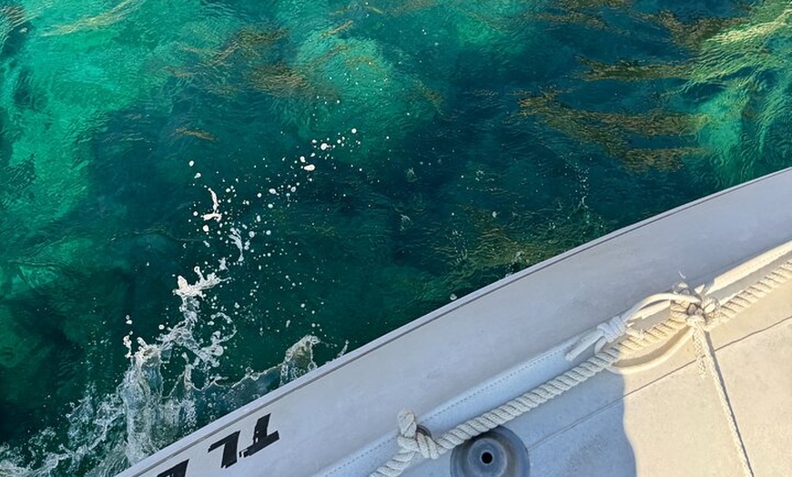 Image 3: Un Bateau Privatisé, dans les Calanques de Port d'Alon !