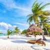 Image 17: ✈ CUBA | Varadero - Sanctuary at Grand Memories Varadero - Adults O...