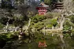 San Francisco: Scenic Surrey Ride Through Golden Gate Park - Second Medium