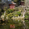 Image 5: San Francisco: Scenic Surrey Ride Through Golden Gate Park