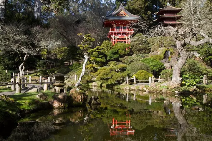 San Francisco: Scenic Surrey Ride Through Golden Gate Park