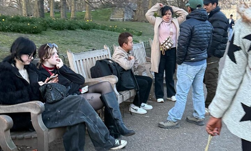 Image 5: Luxury Private Tour in London