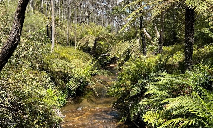 Image 15: Blue Mountains Private Tour -Scenic World Inc -Pick up & Drop off