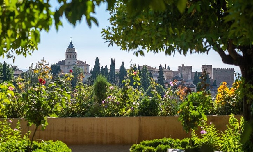 Image 8: Visita Guiada a la Alhambra con Guías Oficiales