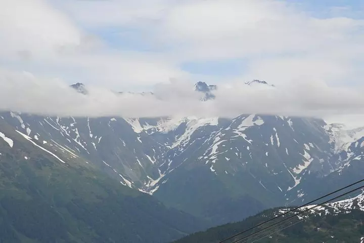 Girdwood Wildlife & Wilderness Photo Tour from Anchorage - Second Medium
