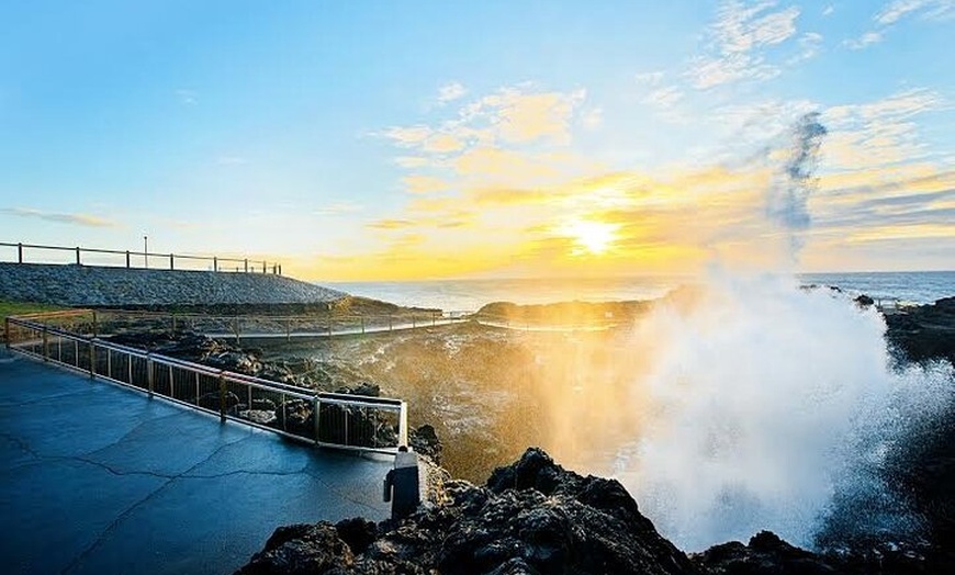 Image 4: Jervis Bay Full Day Tour Dolphin Cruise and Kiama Blowhole