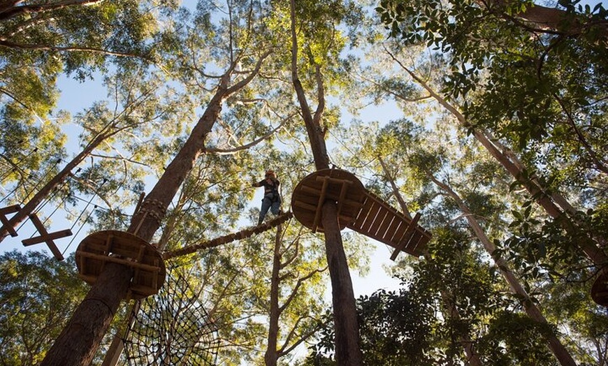 Image 5: Treetops Adventure Coffs Harbour Tree Ropes Course
