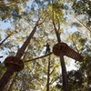 Image 5: Treetops Adventure Coffs Harbour Tree Ropes Course