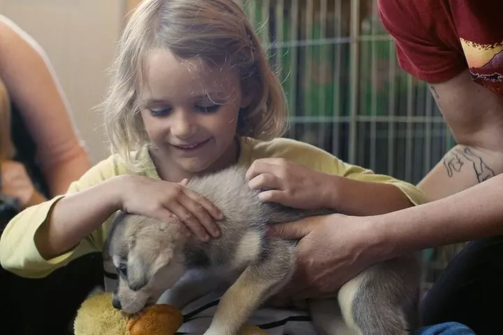 Husky Homestead Tour