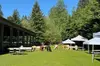 Alpaca Picnic - Immersive Animal Encounter - Seattle Experience