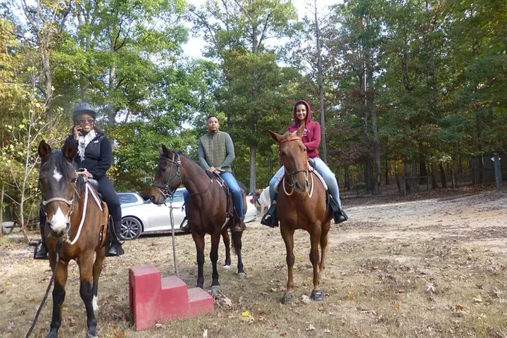 Georgia Horseback Ride with Wine Tasting - Primary Image