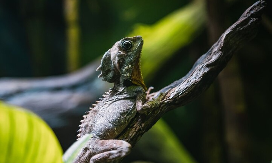 Image 5: Cairns Aquarium by Sunrise