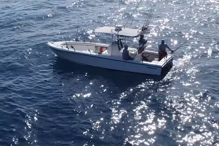 Miami Private Deep Sea Fishing Charter 4 hours