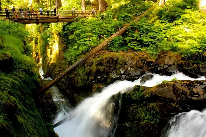 Small Group Olympic National Park Day Tour from Seattle 2CanGo
