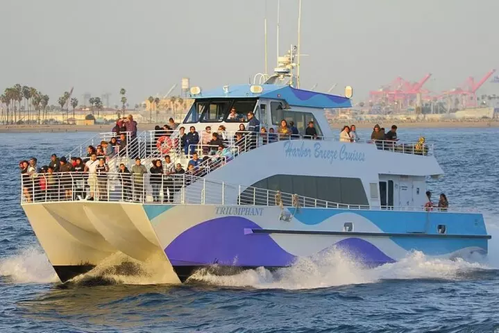 West Harbor LA Whale and Dolphin Watching Cruise