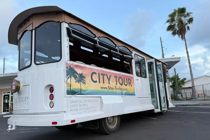 St Petersburg Ultimate (ALL-IN-ONE) City Trolley Tour