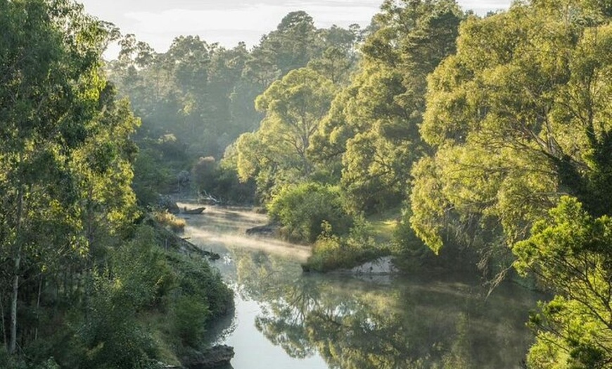 Image 5: From Sydney Private Tour of Waterfalls Wineries and Wildlife