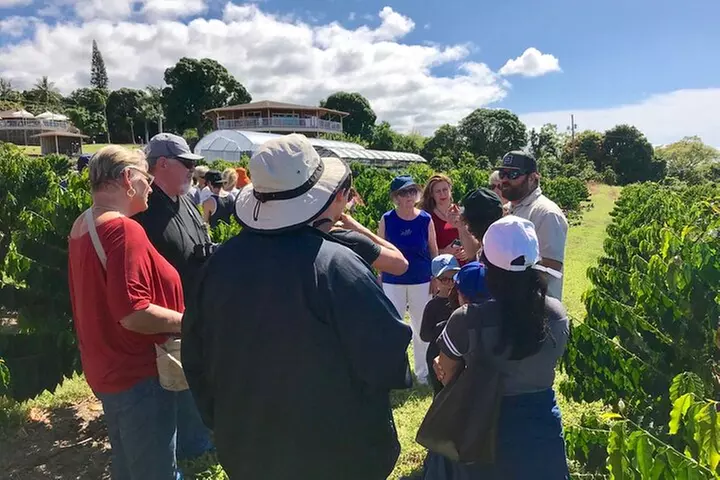 Evening Volcano Explorer Tour from Kona