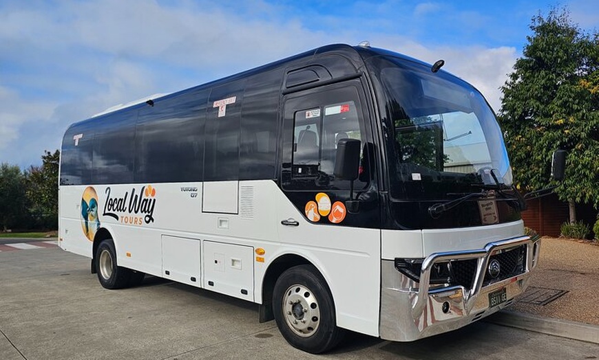 Image 5: Great Ocean Road Small Group Tour with Dingos, Sparkling & Lunch