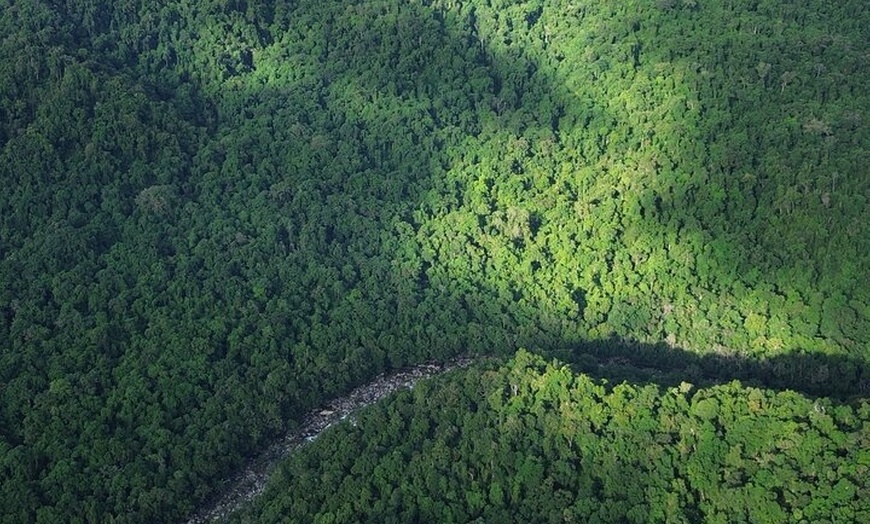 Image 14: Private Luxury Cape Tribulation Adventure and Crocodile Cruise