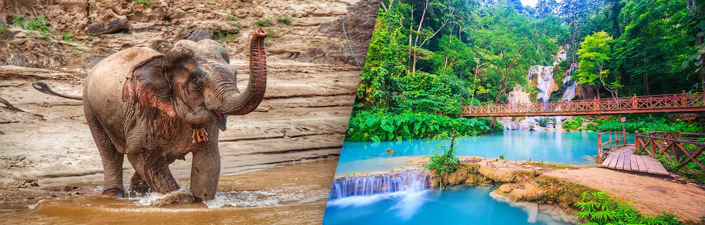 ✈ LAOS | Luang Prabang - Entdecken Sie das wilde, spirituelle und authentische Laos, 10 Nächte - Rundreise - Primary Image