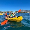 Image 1: Ruta Guiada en Kayak en Puerto Banús Marbella