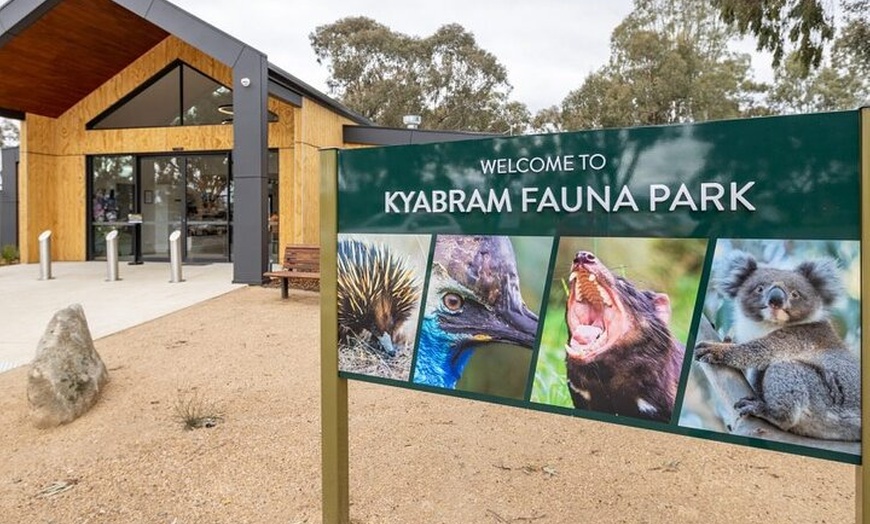 Image 16: Small-Group Murray River Adventure - Paddle Steamer & Wildlife