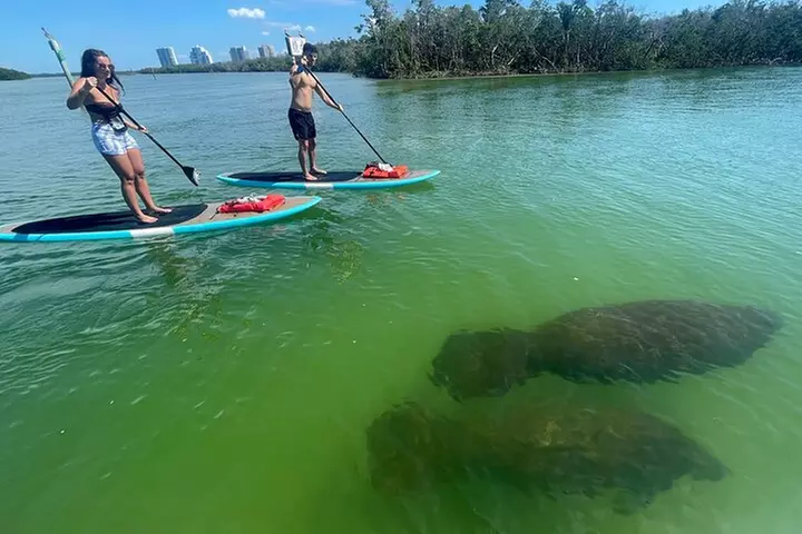 Dolphin and Manatee Adventure Tour of Naples with Florida History