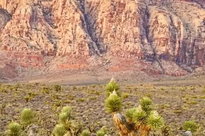 Valley of Fire and Red Rock Canyon Day Tour from Las Vegas