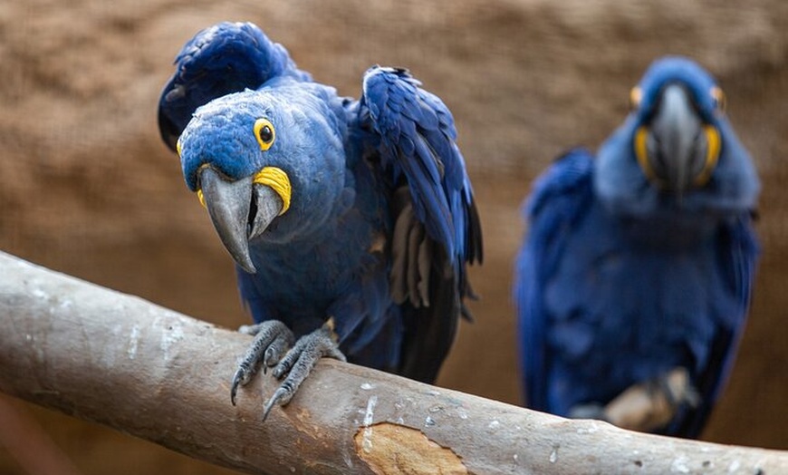 Image 6: Berlin Tierpark Ohne Anstehen Tickets und Individualverkehr