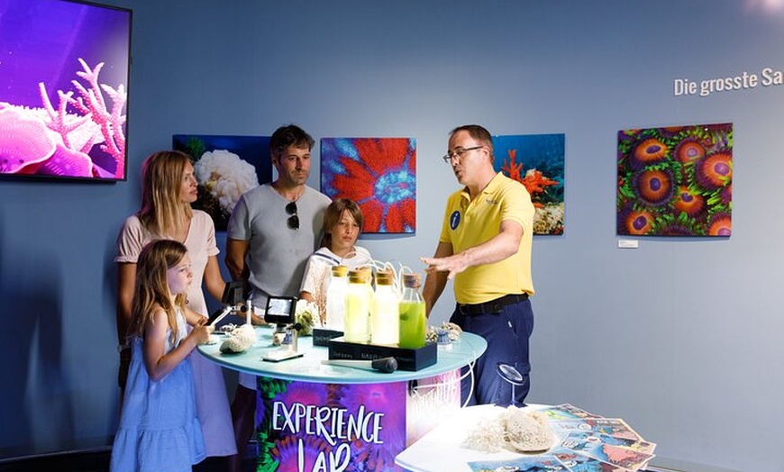 Image 15: Acuario de Palma con autobús de vuelta desde Port Alcudia