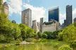 VIP Central Park Experience Tour with photos 50min~Skip the line - Second Medium