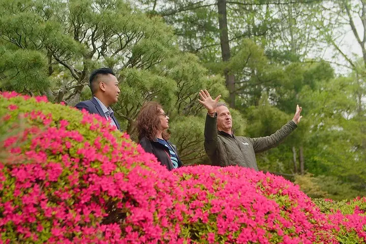 Seattle Neighborhood Small Group Driving Tour