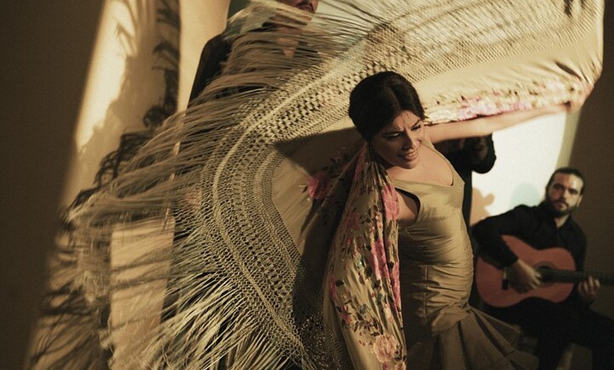 Image 3: Entrada al Centro Cultural Flamenco de Madrid