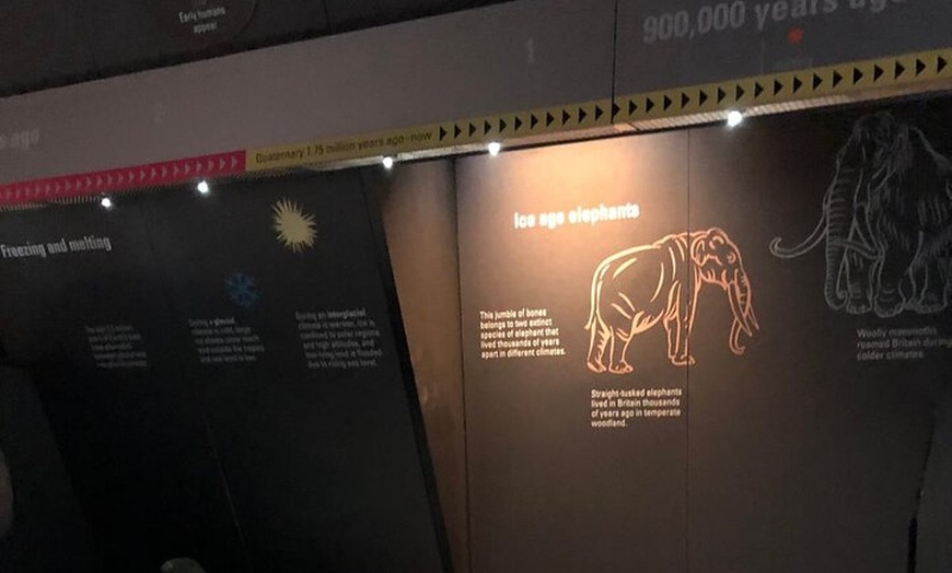 Image 48: London Walking Tour VIP