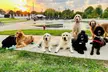 $75 For A 10 Visit Park Pass (Reg. $150) - Second Medium