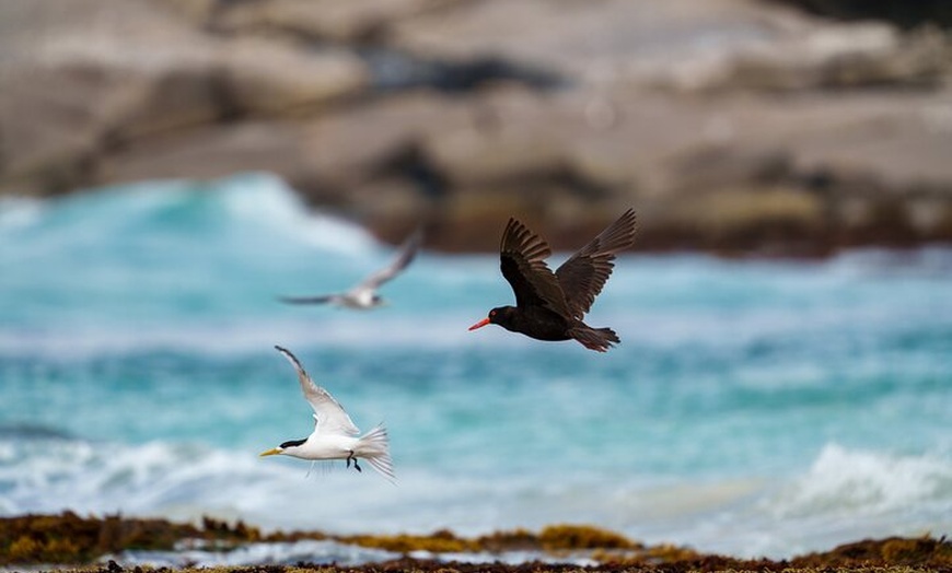 Image 7: Port Lincoln National Park Half day Tour