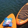 Image 7: Paddle Board Picnics Lessons Rentals and Outdoor Adventures