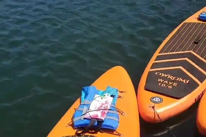 Paddle Board Picnics Lessons Rentals and Outdoor Adventures