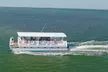 Anna Maria Island Dolphin Sightseeing Adventure - Second Medium