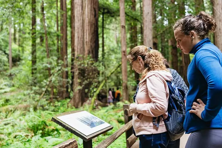 Muir Woods and Sausalito (Return by Bus or Ferry)