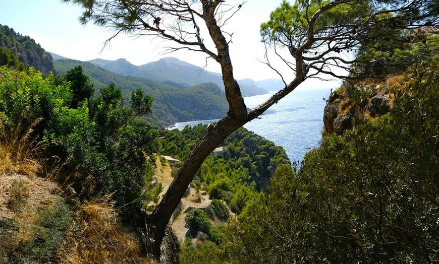 Image 5: Tramuntana Hidden Gems Scenic Drive a través de los pueblos de Mall...