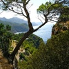 Image 5: Tramuntana Hidden Gems Scenic Drive a través de los pueblos de Mall...